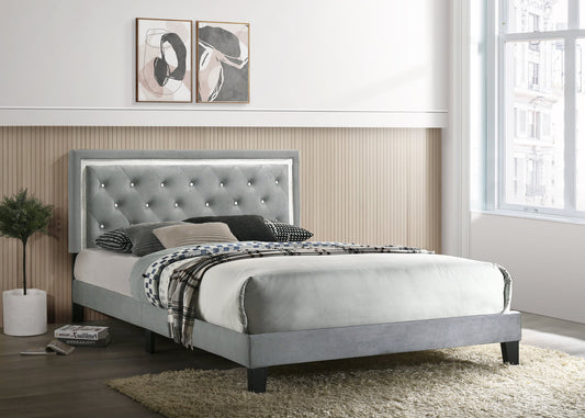 Passion Gray Velvet Platform Bed King/Queen/Full/Twin