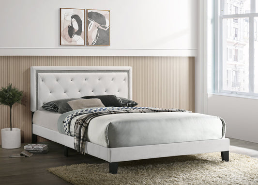 Passion White Velvet Platform Bed King/Queen/Full/Twin